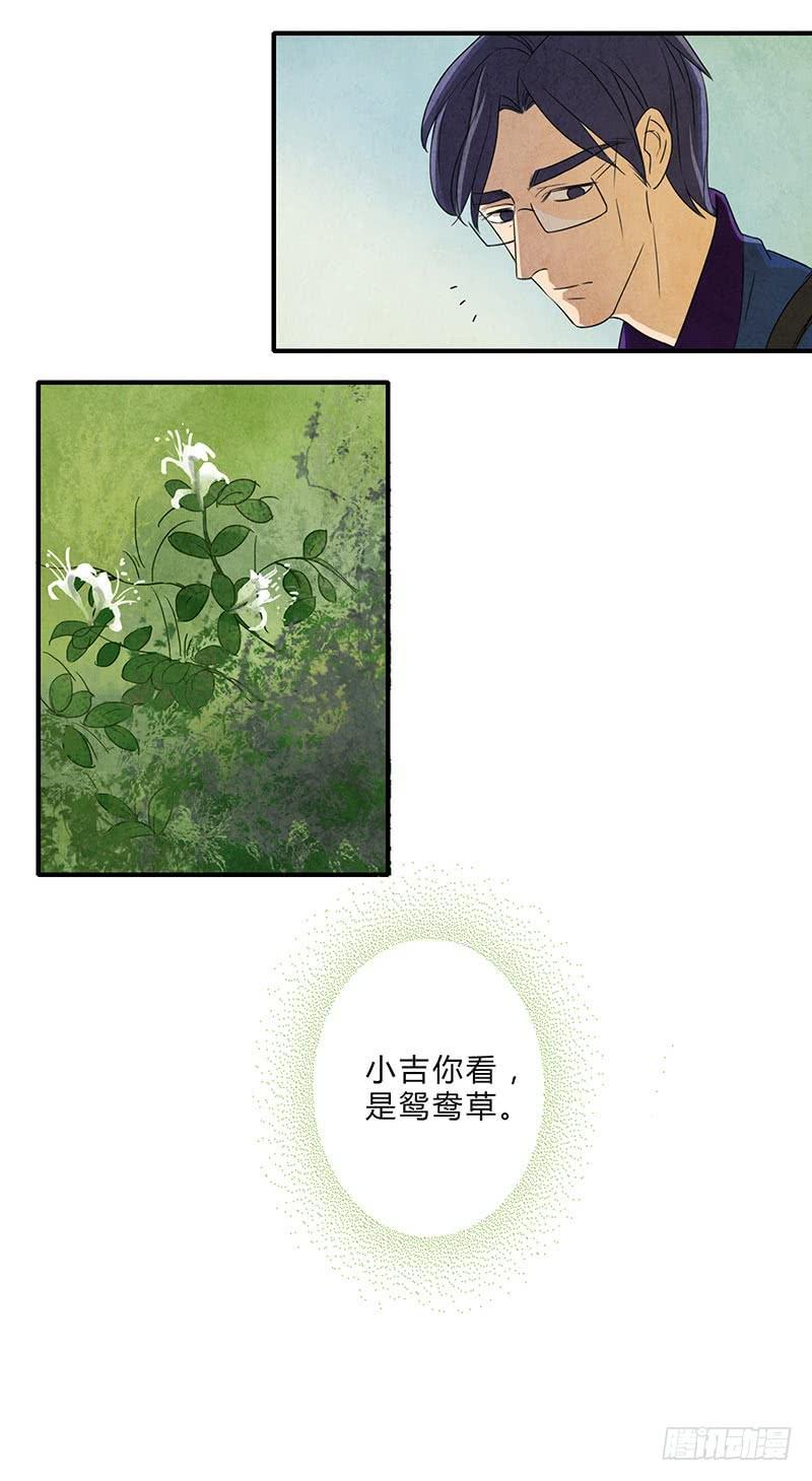 《魂匠》鸳鸯草 第4页