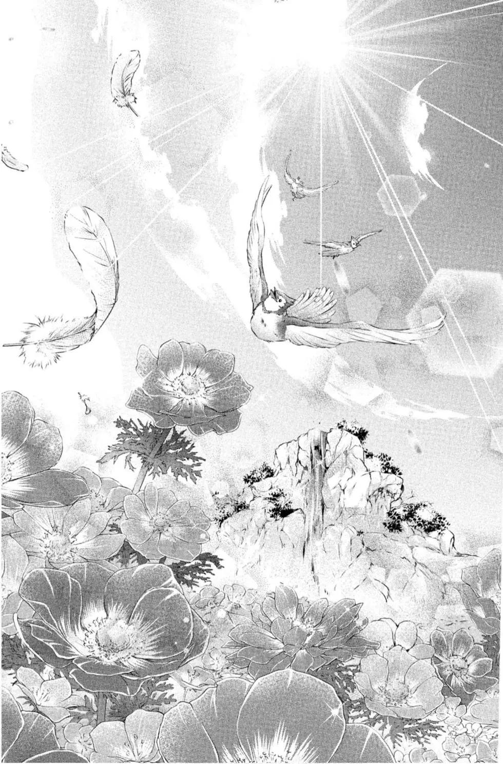 《一弦定音》第20卷 第41页