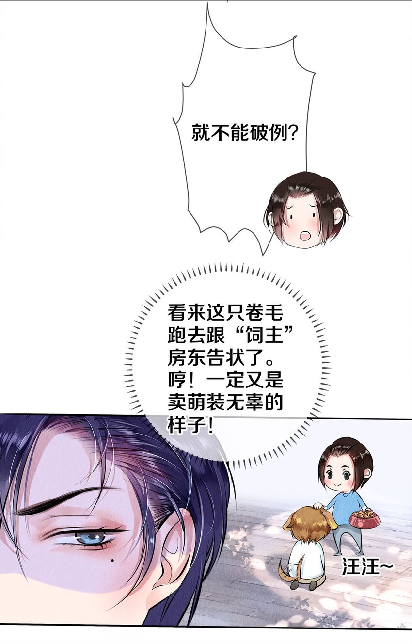 《影帝们的公寓》13 苦肉计 第11页