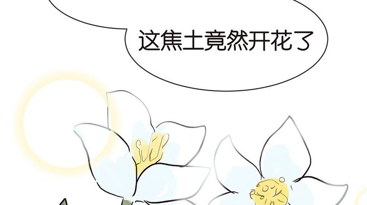 《师父又掉线了》第32章 草木灵，变身！ 第30页