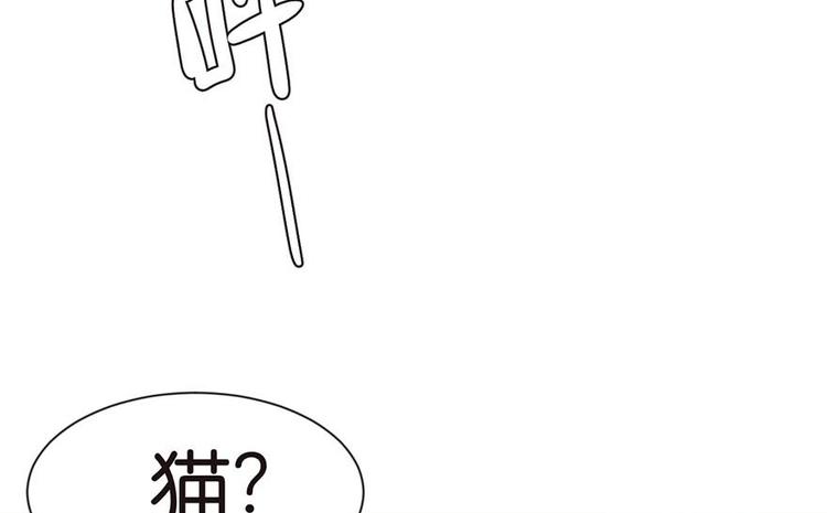 《师父又掉线了》第39章 我挺喜欢小动物的 第7页