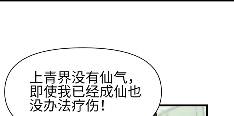 《师父又掉线了》第58章 那个白菜小哥 第5页
