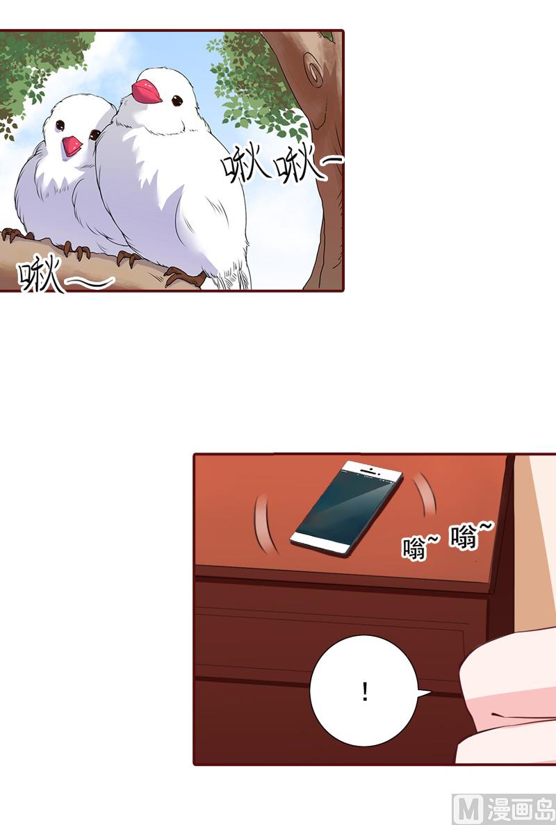 《BOSS难拒夫人，请深爱！》第56话 明天就去离婚 第13页