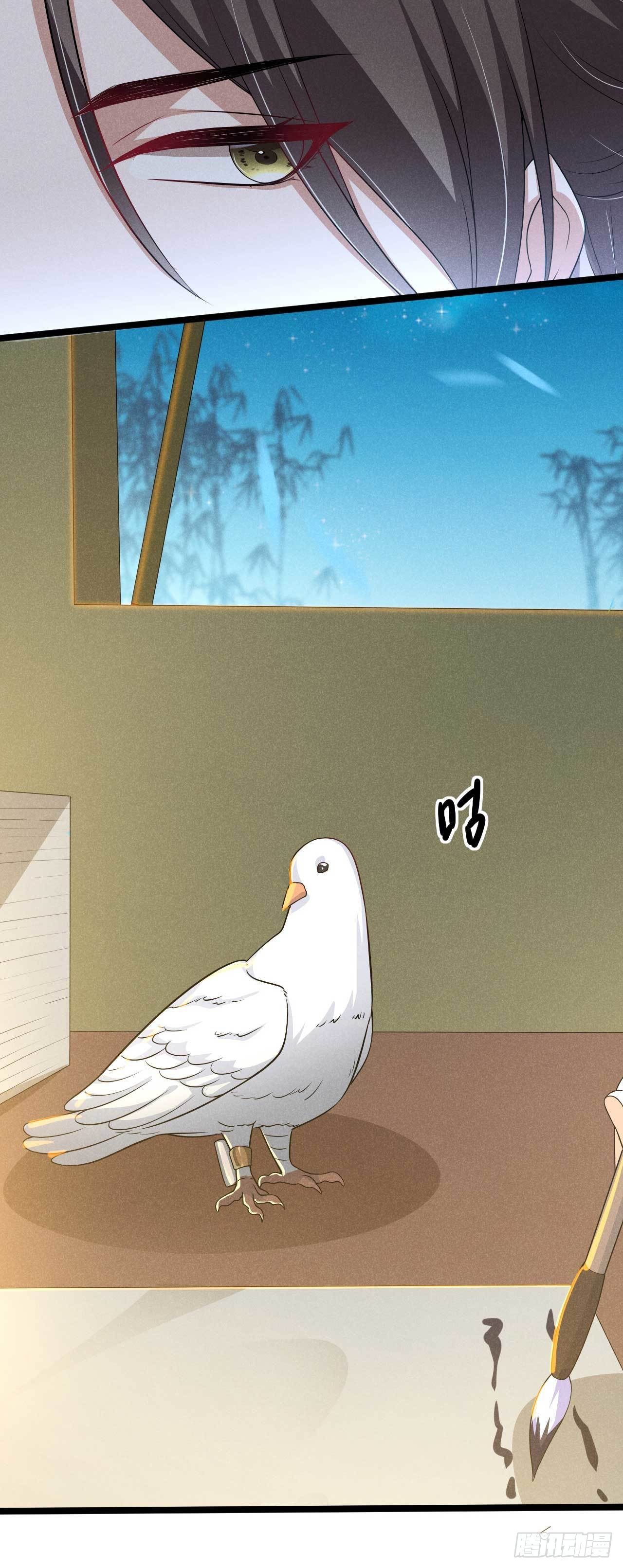 《冷傲神医宠夫三十六计》第21话 你该走了 第13页