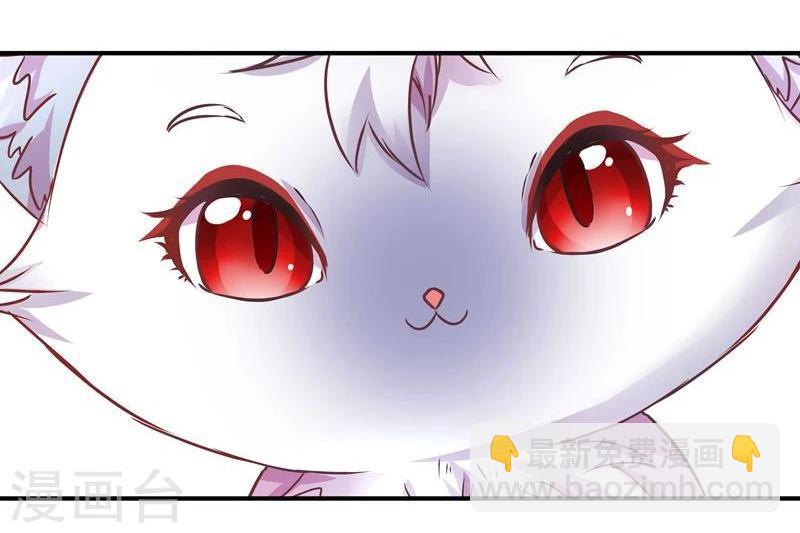 《穿越之狐王的专宠》第3话 马上洞房吧 第14页
