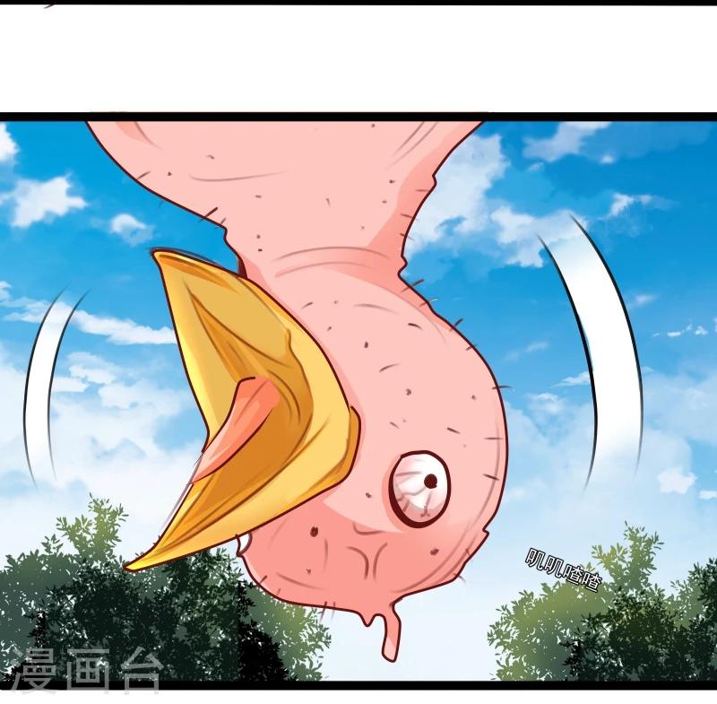 《穿越之狐王的专宠》第35话 别打她的主意 第8页