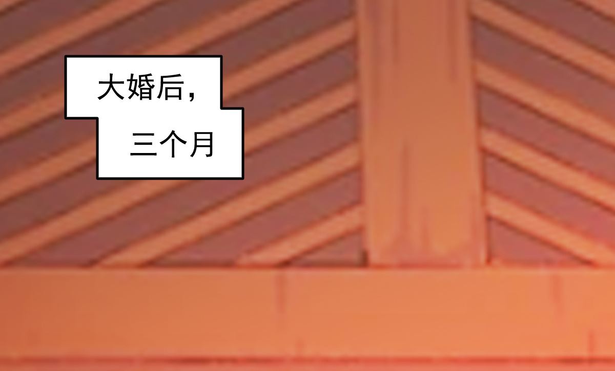 《穿越之狐王的专宠》番外-回娘家 第4页