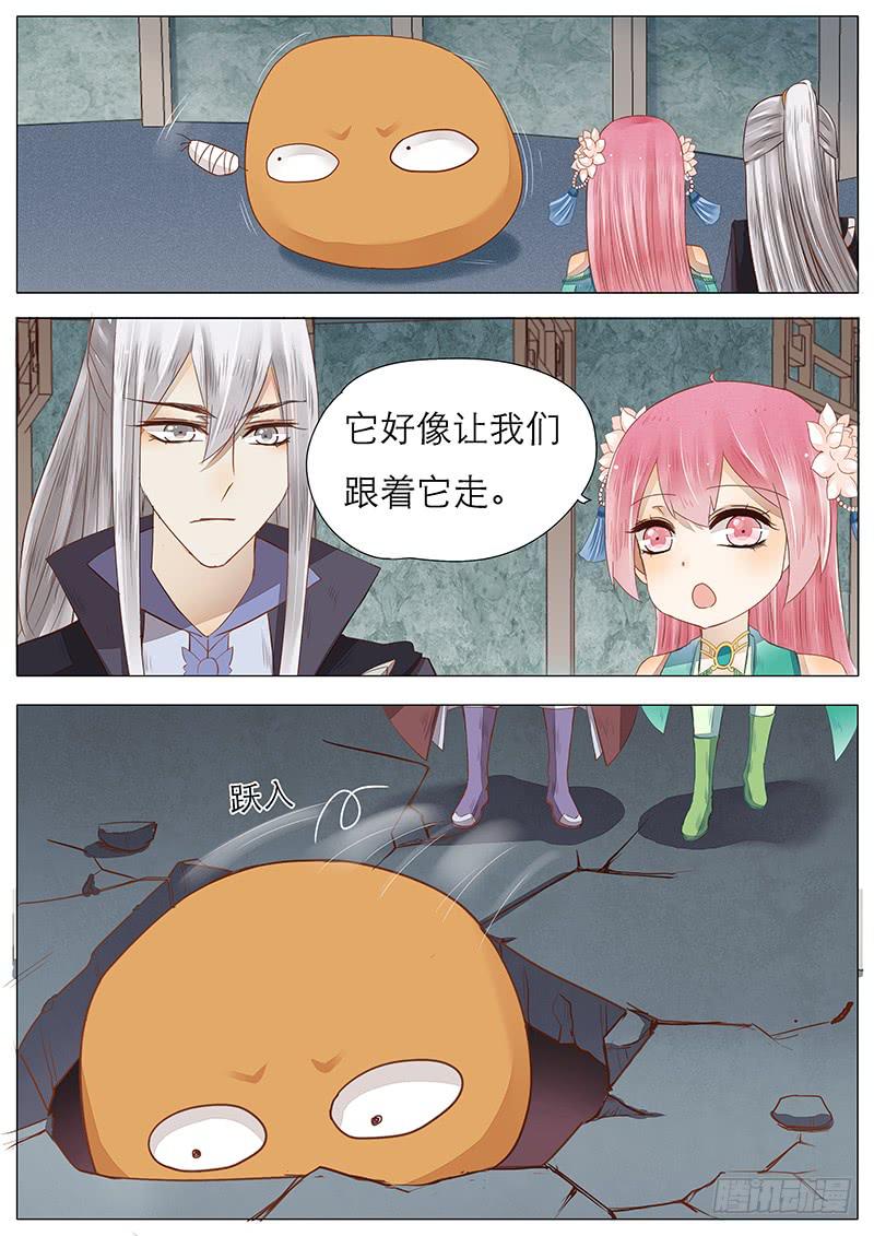 《魔教教主的成长法则》41 独孤岳的卧室 第5页
