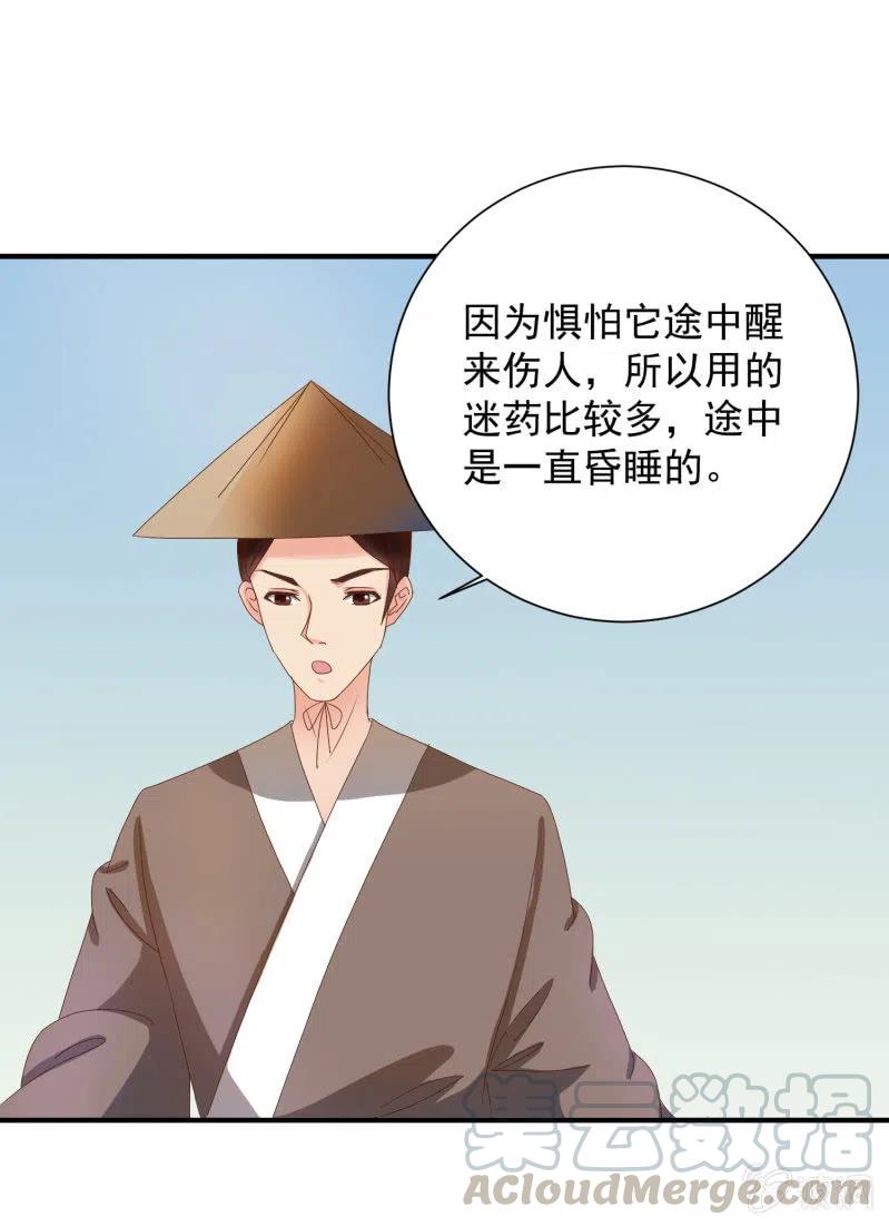 《无赖王妃》无赖王妃【047 跟踪】 第17页