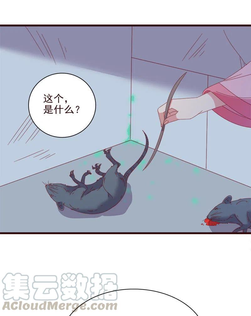 《无赖王妃》无赖王妃【066阴狠】 第15页