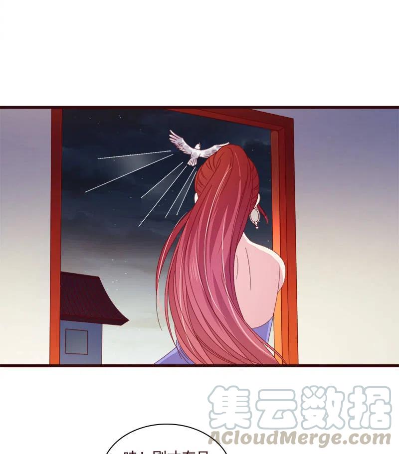 《无赖王妃》无赖王妃【80大瓜】 第43页