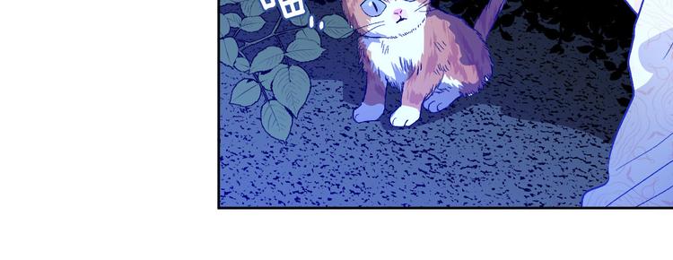 《琉璃之城》第44话 私会 第11页