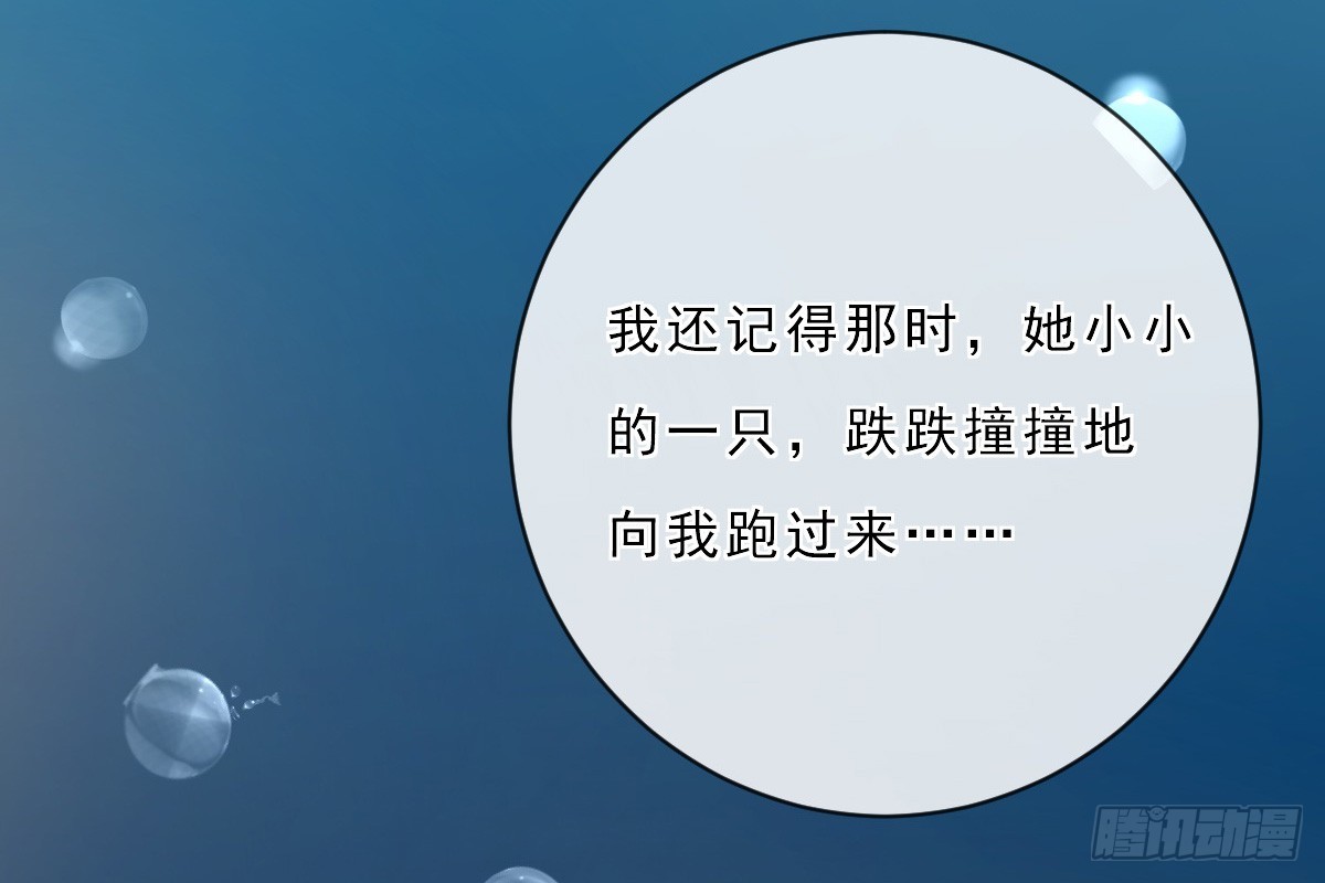 《皇太子，请收留我吧》第153话 第8页