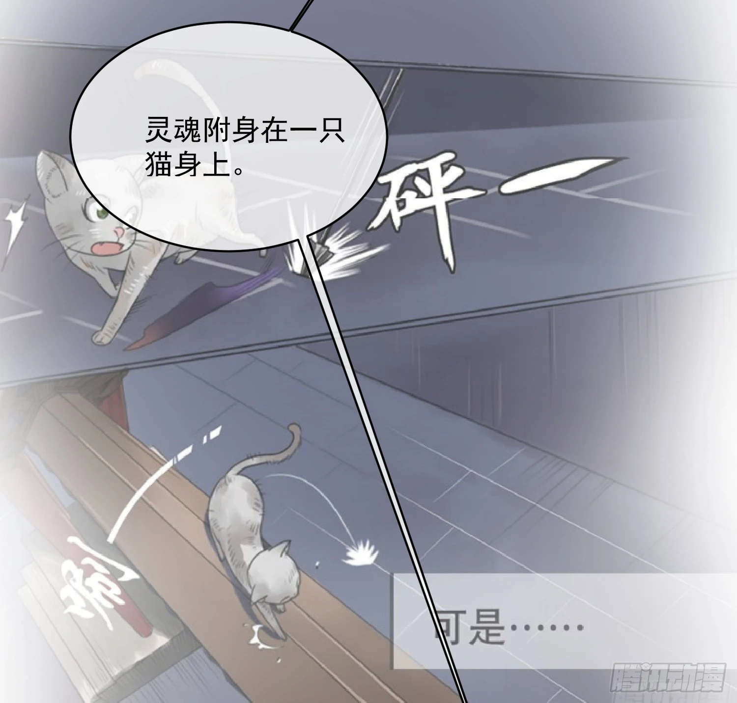 《皇太子，请收留我吧》第161话 致亲爱的她（完） 第17页