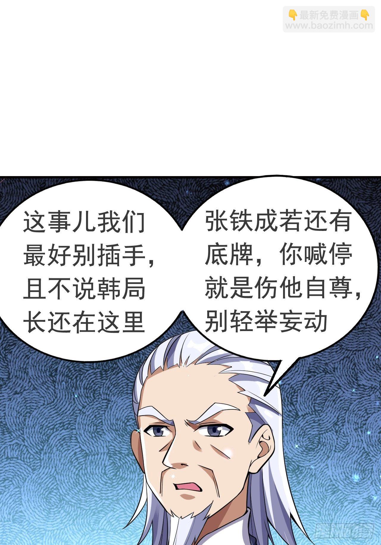 《最强氪金》14 雷霆真元 第8页