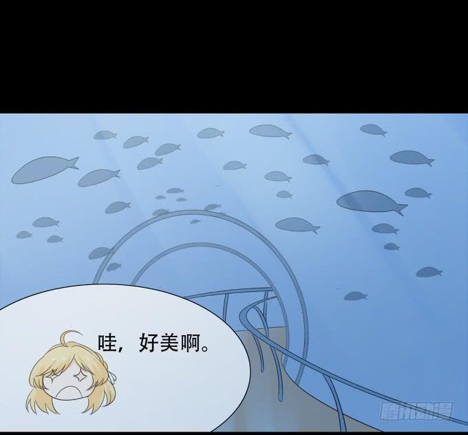 《不说再见》17-美丽的海洋馆 第22页