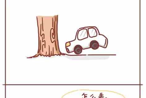 《小编木木/爆漫画》考驾照是种什么样的体验 第2页