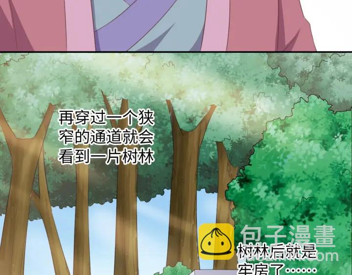 《傲娇王爷嚣张妃》第65话 终于见到你了 第14页