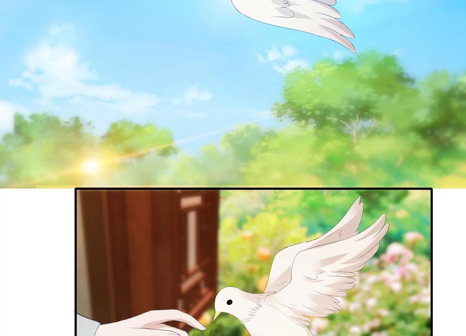 《宗主大人心很累》第46话 蓄势待发 第41页