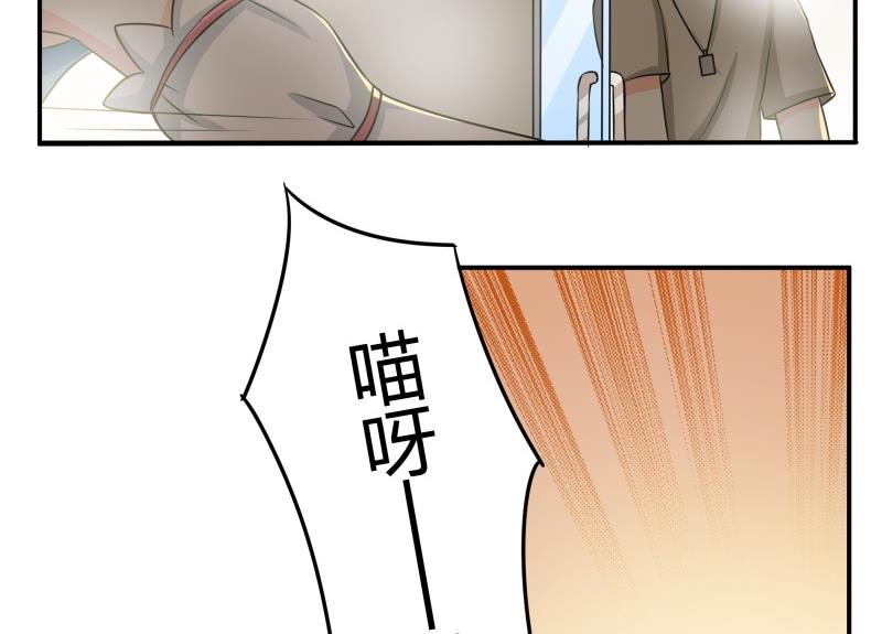 《我的女友制造机》第24话 在伪娘咖啡厅成为大佬吧！ 第48页