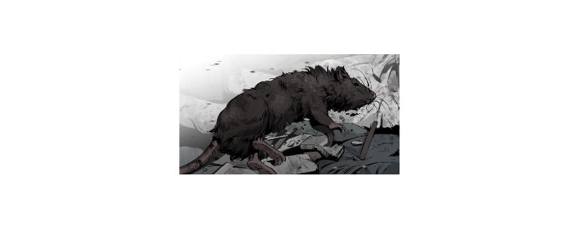 《异界三侠》67.否则会死 第18页