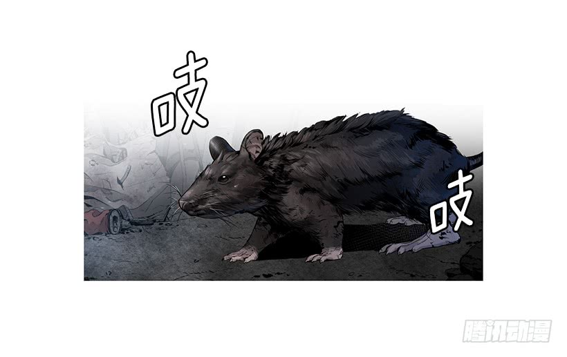 《异界三侠》66.名不虚传 第27页