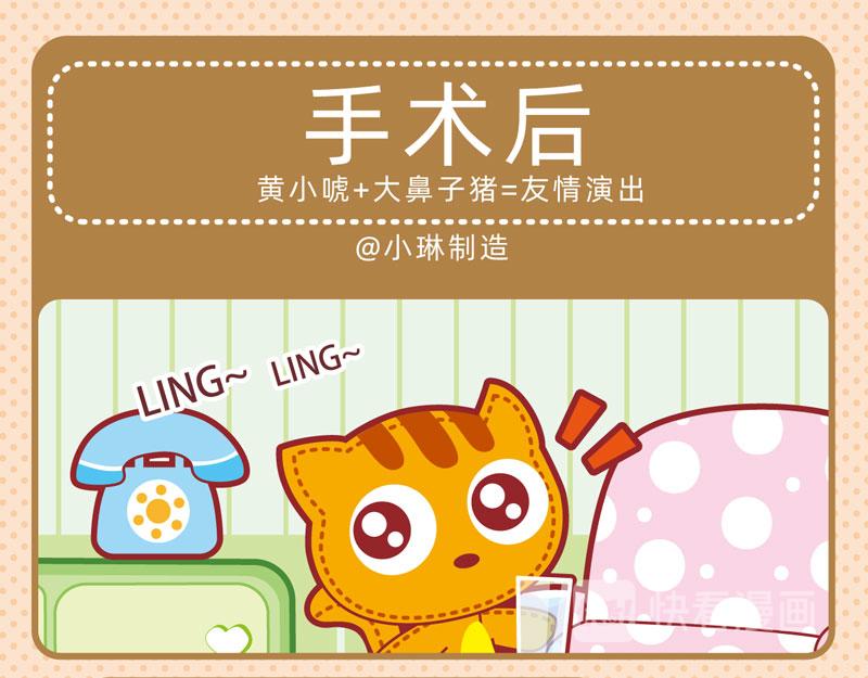《小琳故事绘》25增值服务 第13页