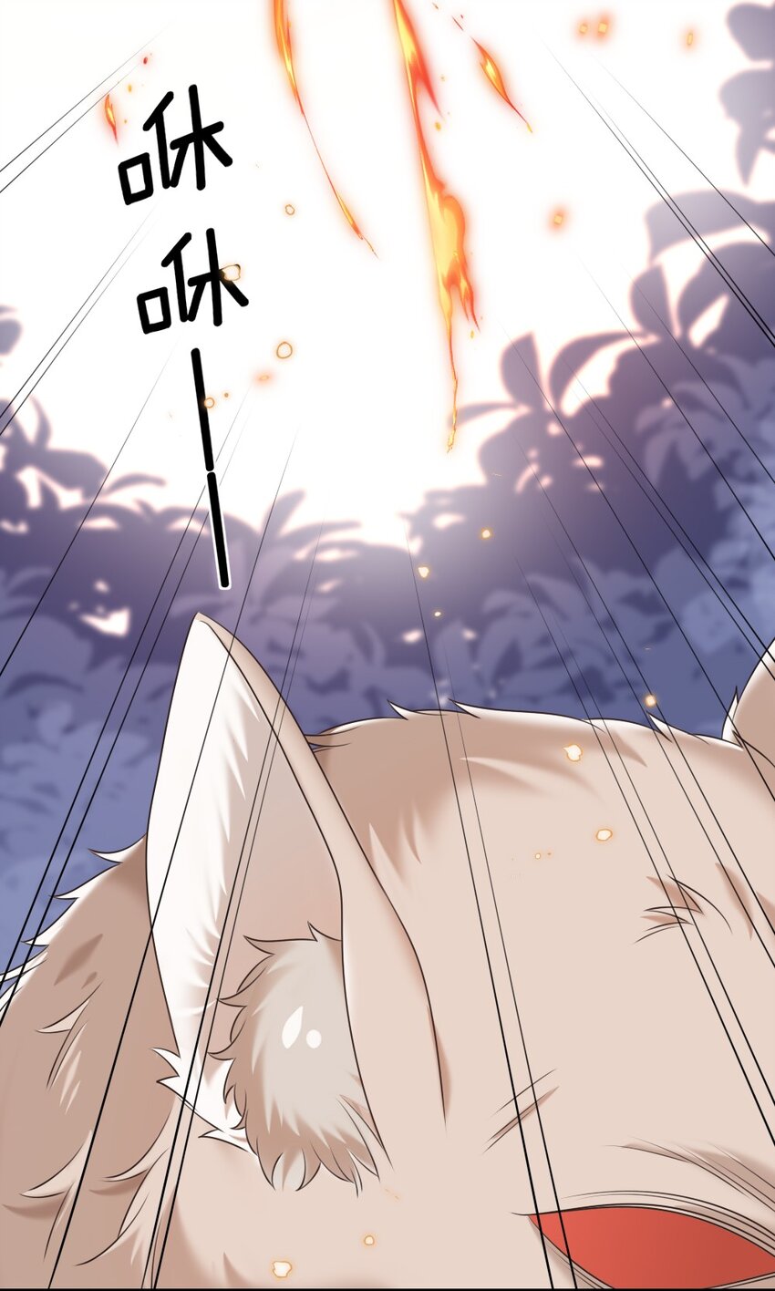 《盛世妆娘妆者攻略》020 下单 第13页