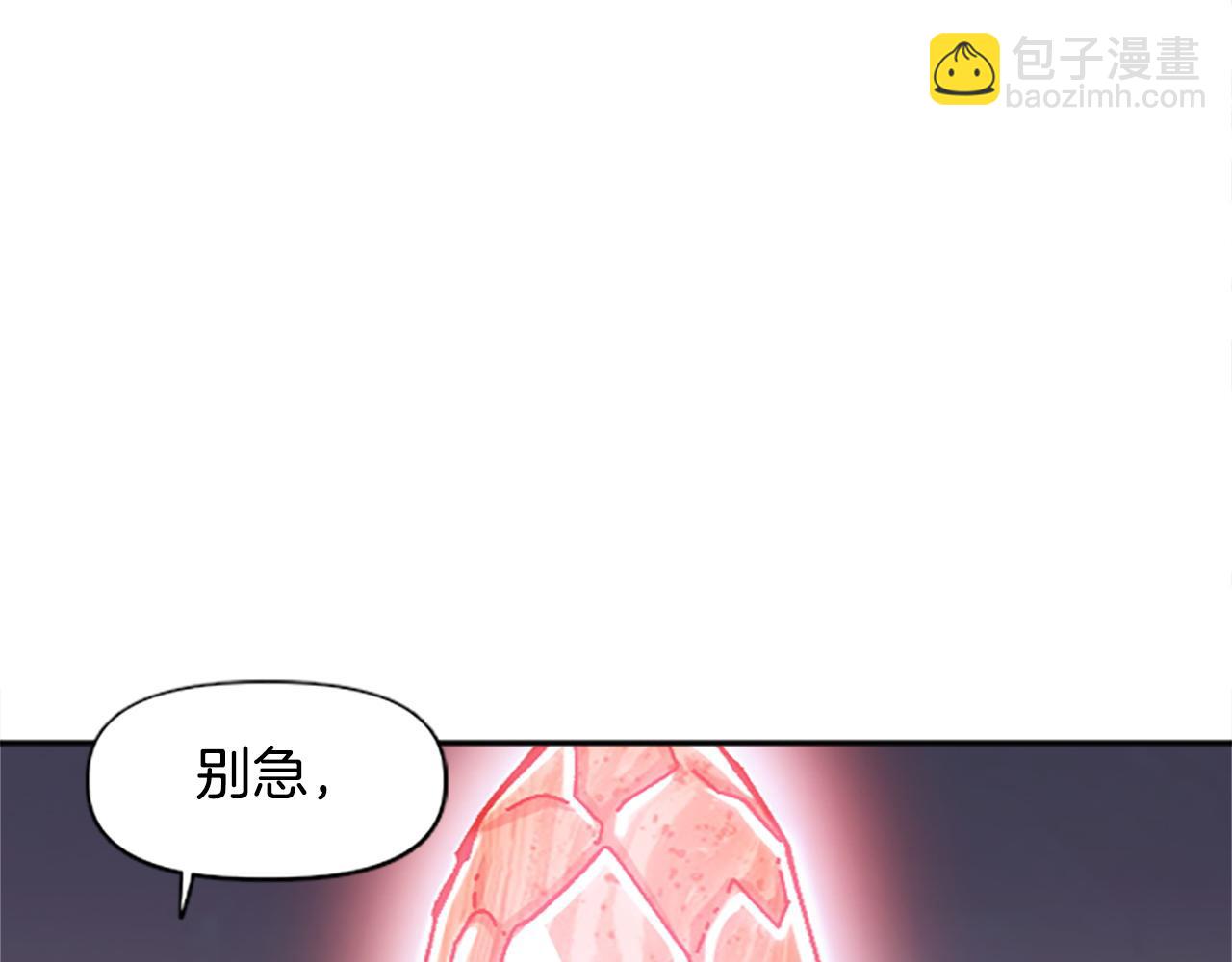 《奇迹大陆这个奴隶异常凶勐》第76话 攻打城门 第3页
