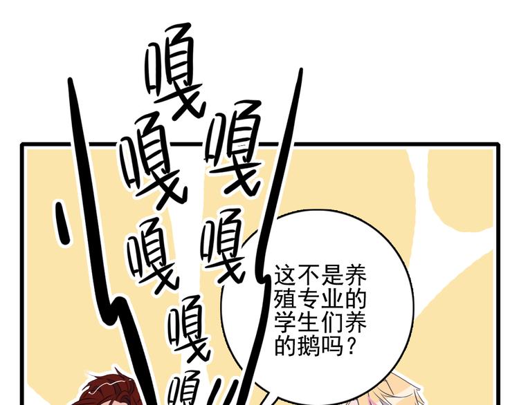 《《贫穷游戏》为了5000万谈恋爱》第6话 我们的鹅子 第5页