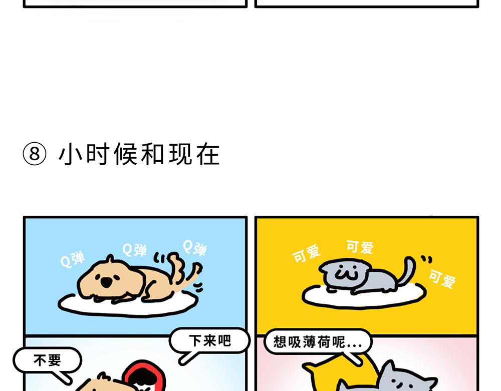 《枸杞和伙伴们》狗狗还是猫咪？选一个吧！ 第10页
