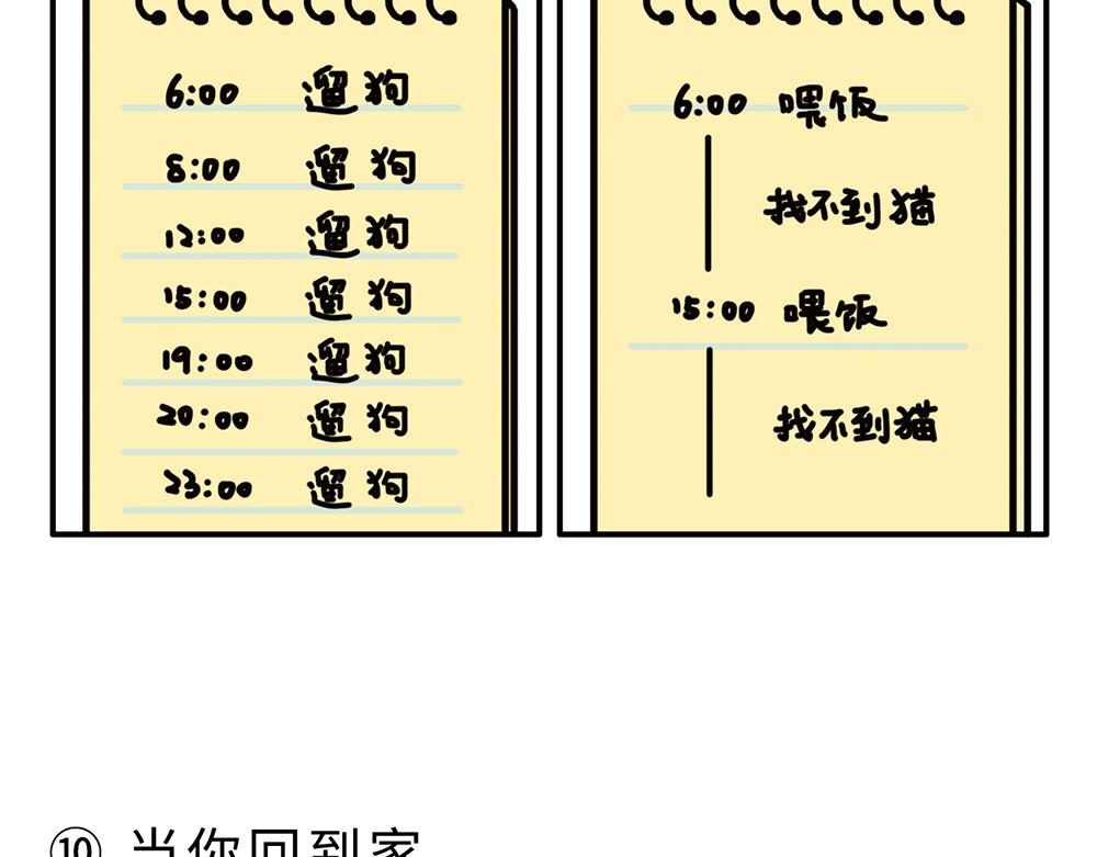 《枸杞和伙伴们》狗狗还是猫咪？选一个吧！ 第12页