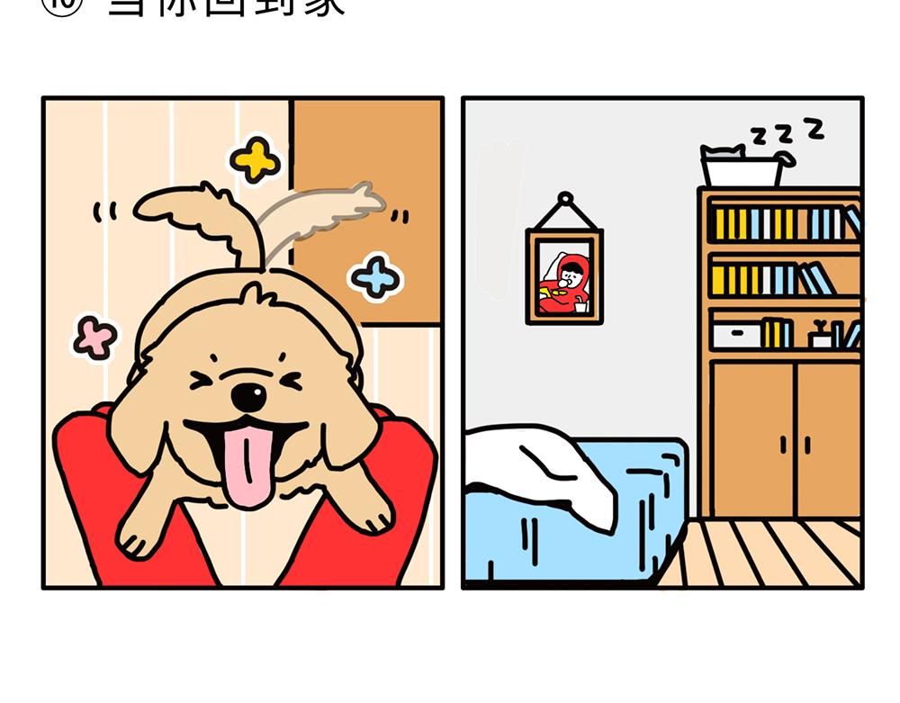 《枸杞和伙伴们》狗狗还是猫咪？选一个吧！ 第13页