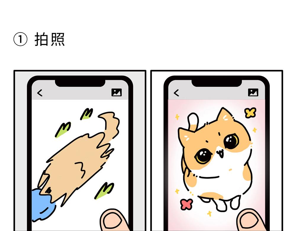 《枸杞和伙伴们》狗狗还是猫咪？选一个吧！ 第1页