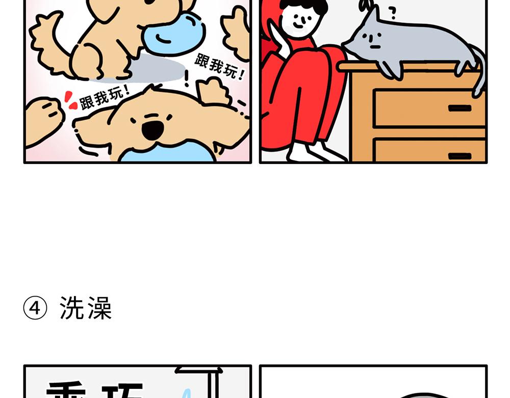 《枸杞和伙伴们》狗狗还是猫咪？选一个吧！ 第4页
