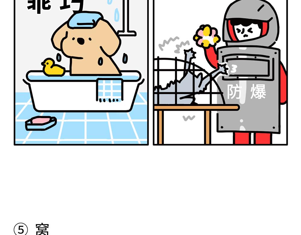 《枸杞和伙伴们》狗狗还是猫咪？选一个吧！ 第5页