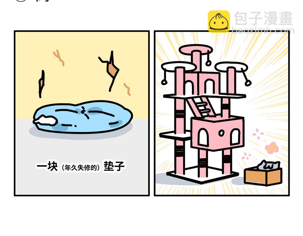 《枸杞和伙伴们》狗狗还是猫咪？选一个吧！ 第6页