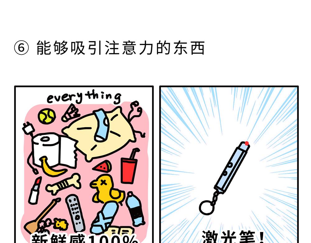 《枸杞和伙伴们》狗狗还是猫咪？选一个吧！ 第7页