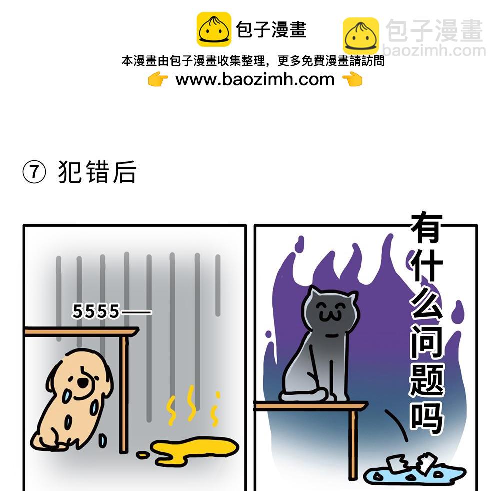 《枸杞和伙伴们》狗狗还是猫咪？选一个吧！ 第9页
