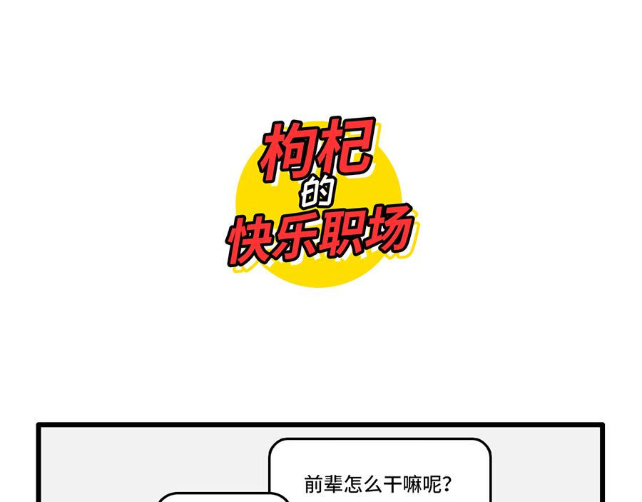 《枸杞和伙伴们》追星是种什么感觉？ 第1页