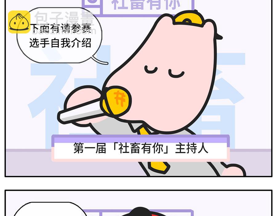 《枸杞和伙伴们》当我失眠的时候，没有一条淡黄色 第17页