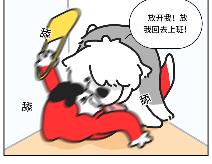 《枸杞和伙伴们》我和boss鲜为人知的那些事 第5页