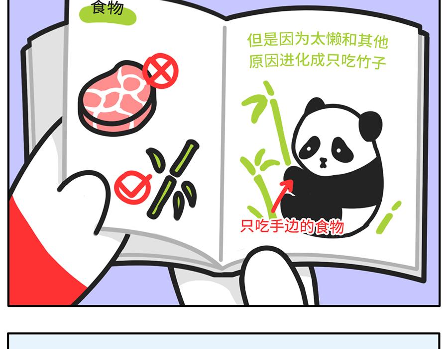 《枸杞和伙伴们》当你的室友是一只现代熊猫 第9页