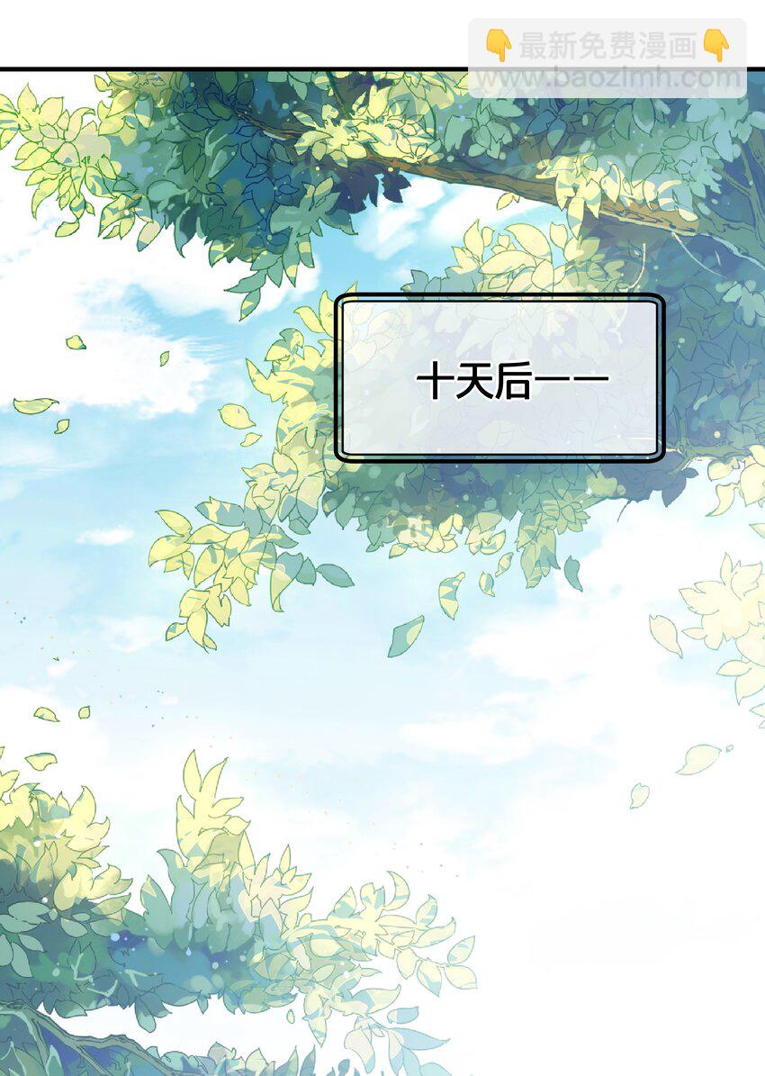 《我不要宫斗啊》008 马夫还是夜香工 第35页