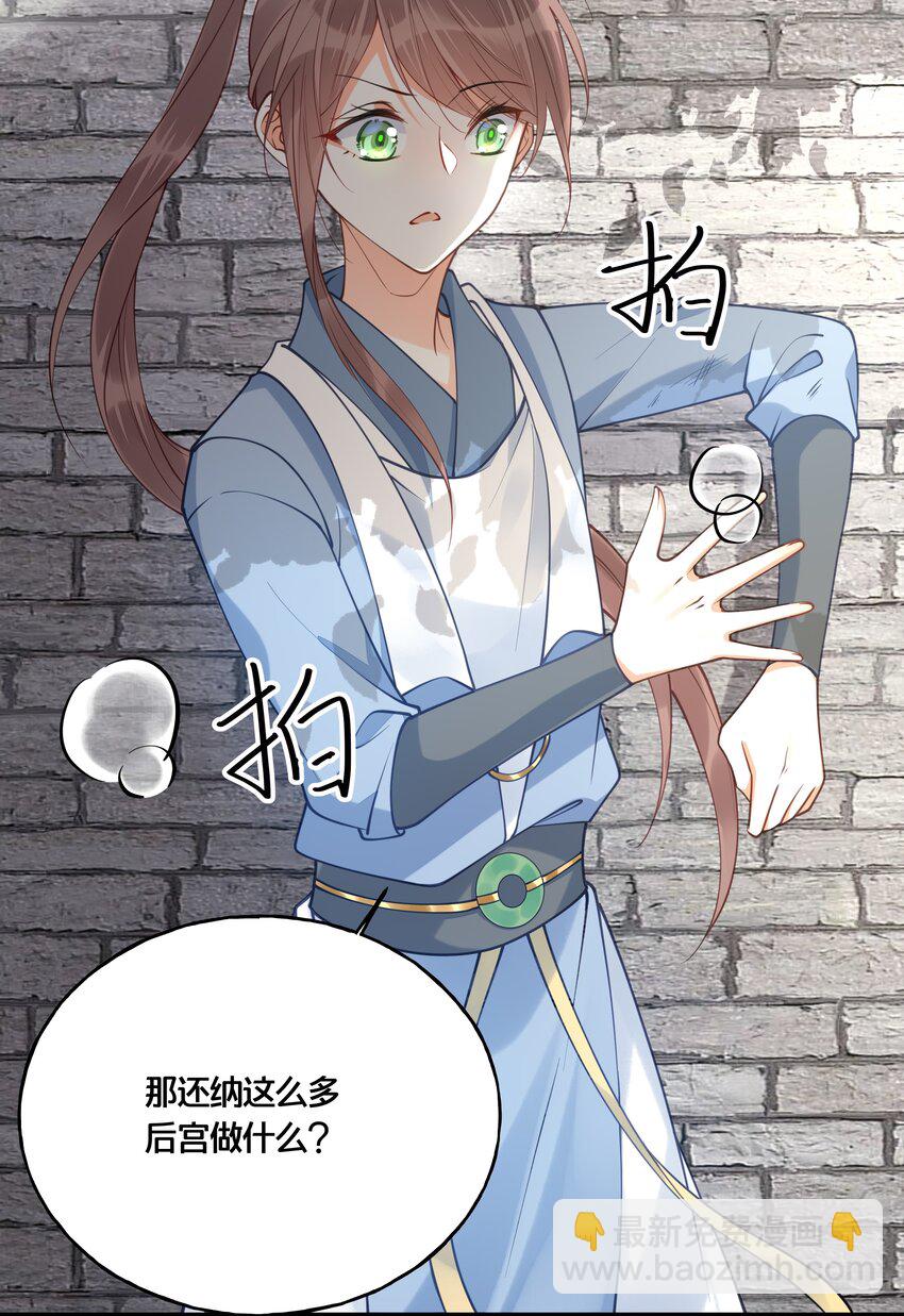《我不要宫斗啊》017 朕不要后宫 第29页