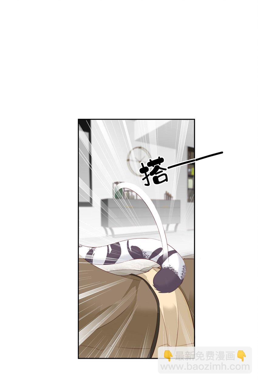 《早期驯服大猫的珍贵资料》006 我可以摸一下吗？ 第13页