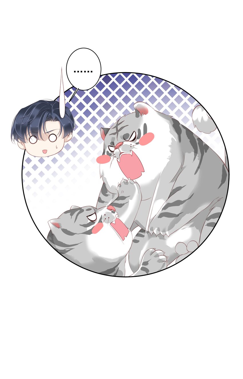 《早期驯服大猫的珍贵资料》015 不服气那你打我啊？ 第17页