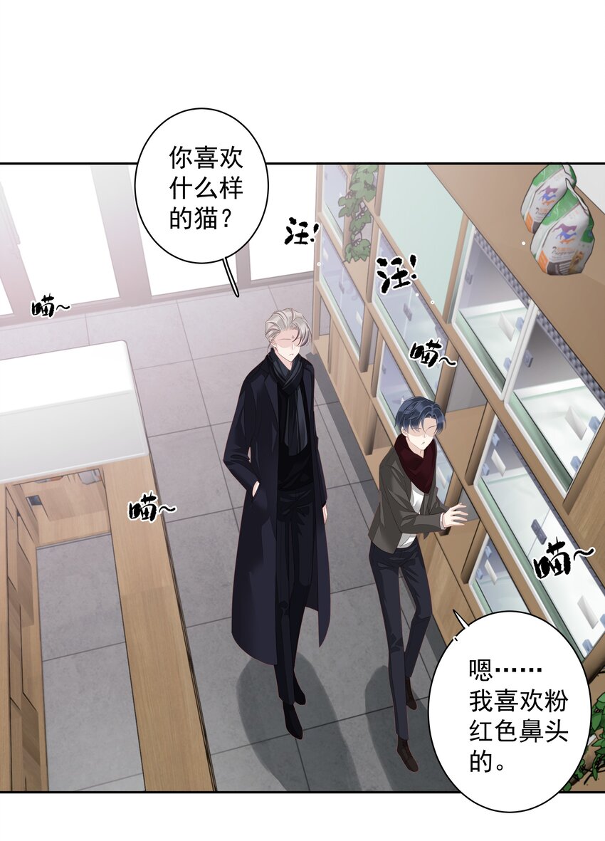《早期驯服大猫的珍贵资料》013 适应不独居的生活 第32页