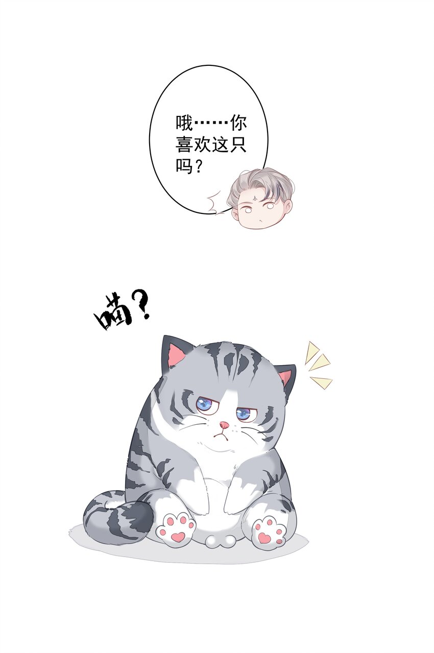 《早期驯服大猫的珍贵资料》013 适应不独居的生活 第35页