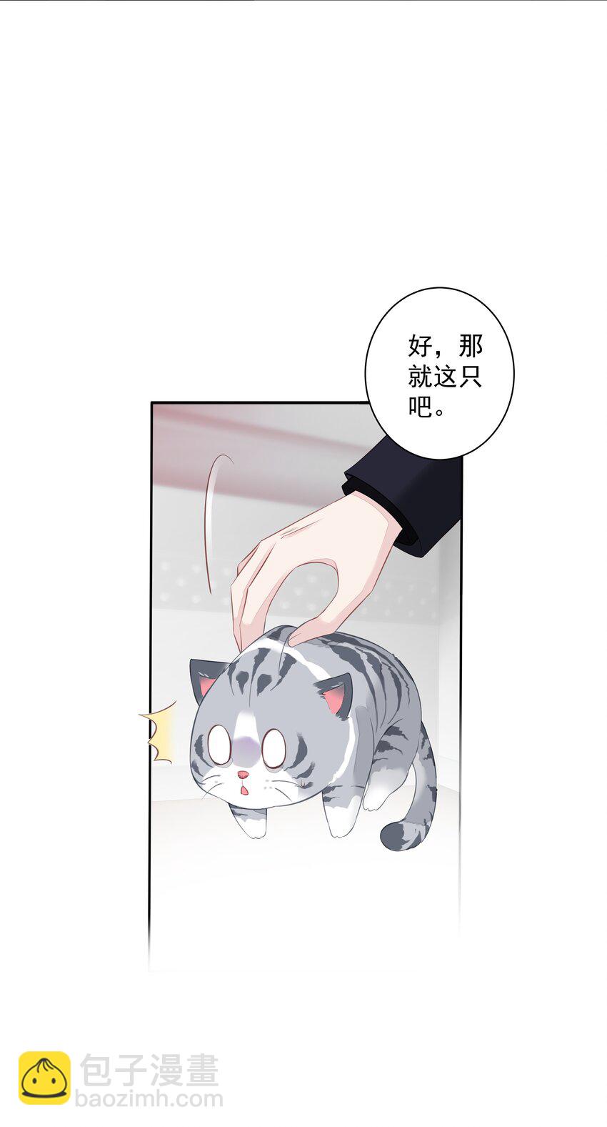 《早期驯服大猫的珍贵资料》013 适应不独居的生活 第37页